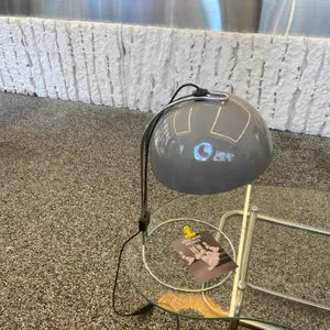 아르고보니 리뷰 사진