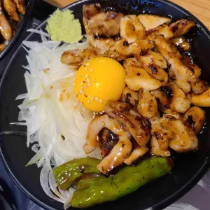 홍대개미 사진