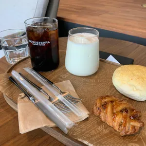 노부스테라 리뷰 사진