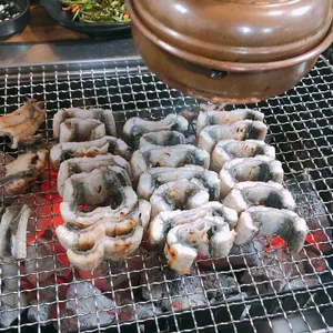 대머리장어 사진
