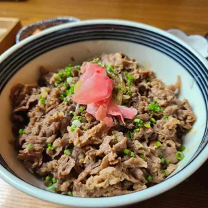 메시 사진