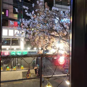 쿠시텐 리뷰 사진