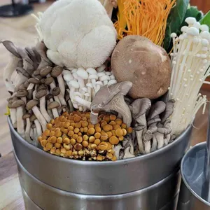 버섯애가 사진