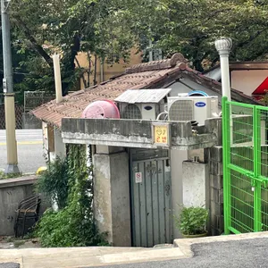 곤밥 사진 1