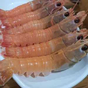 정직한돈 사진