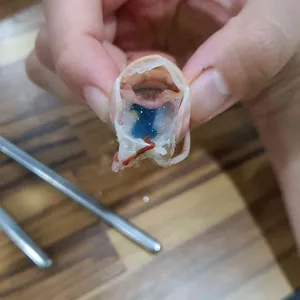 정직한돈 사진
