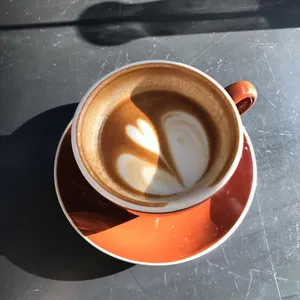 콘하스 리뷰 사진