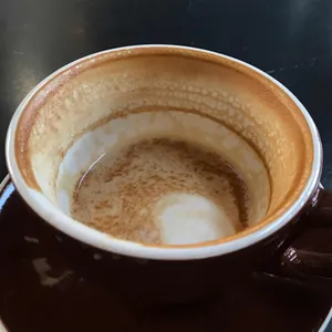 콘하스 리뷰 사진