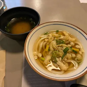 칸세이스시 사진