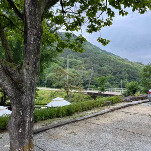 엔학고레 리뷰 사진