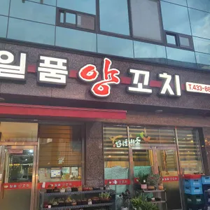 일품양꼬치 리뷰 사진