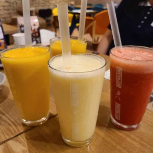 블루오페라 사진