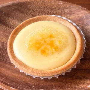 초당젤라또 사진
