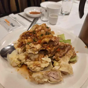 칭진 사진