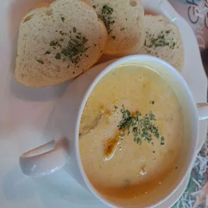 닥터로빈 사진