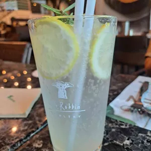 닥터로빈 사진