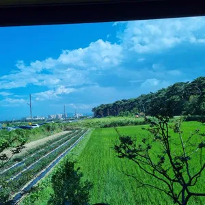 차현희젤라또&커피 리뷰 사진