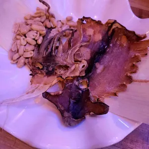 치킨뱅이 사진