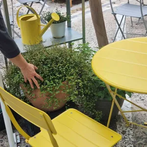 썬댄스 리뷰 사진