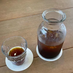 포비브라이트 사진