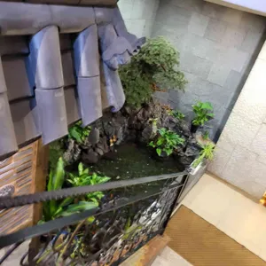 고향맛 리뷰 사진