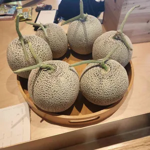 이이알티 사진