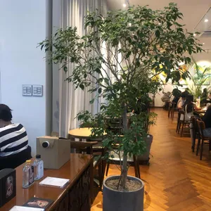 앤티크커피 리뷰 사진