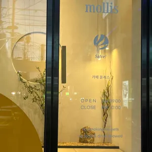 카페 몰리스 리뷰 사진