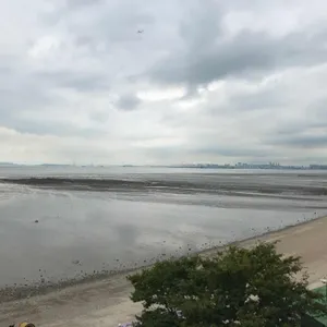 코브나인 리뷰 사진