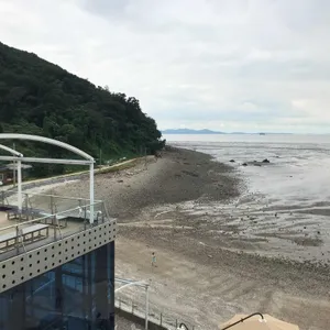 코브나인 리뷰 사진