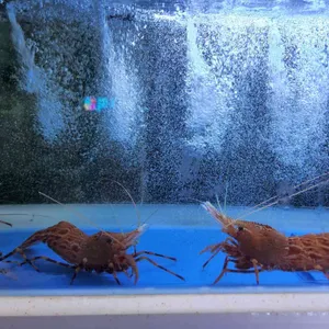 천금수산 리뷰 사진