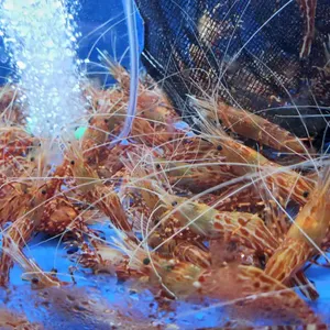 천금수산 리뷰 사진