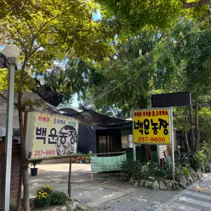 백운농장 리뷰 사진