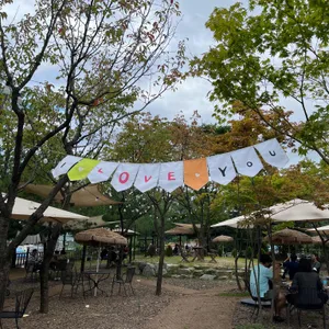 어나더플레이스 대표 사진