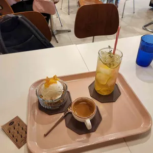 TIMT 사진