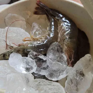 황해수산 사진