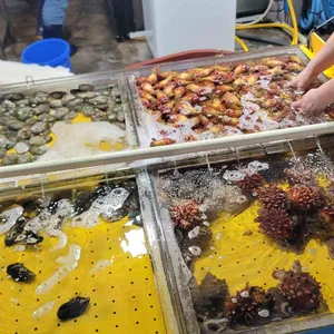 황해수산 사진