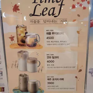 이디야 리뷰 사진