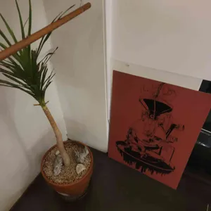 비로소커피 리뷰 사진