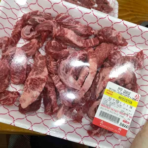 소야 사진