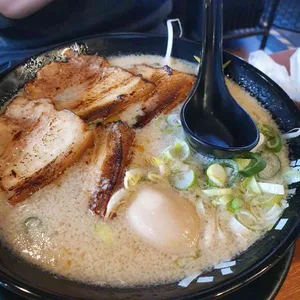 코이라멘 사진