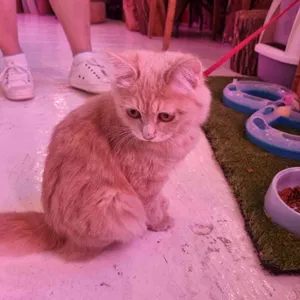 백번의봄 리뷰 사진