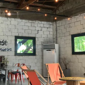 플랜트202 리뷰 사진