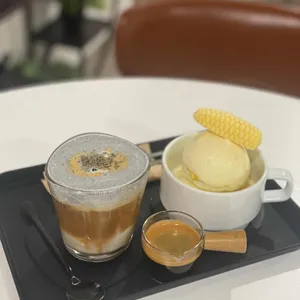 터틀락 사진