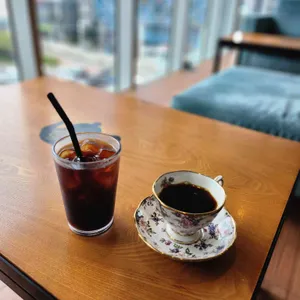 고바슨 사진