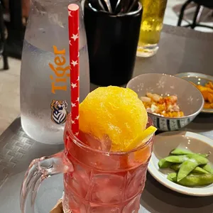 붉은호랑이 사진