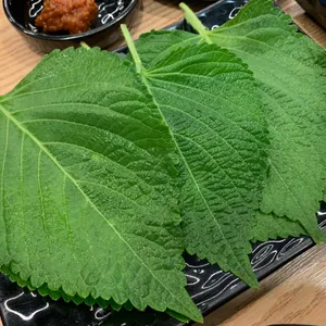 오늘도닭갈비 리뷰 사진