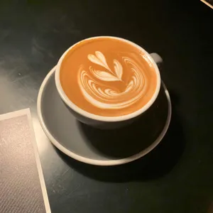프로토콜 사진