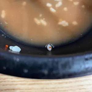 밀양돼지국밥 리뷰 사진
