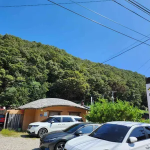 또바기 리뷰 사진